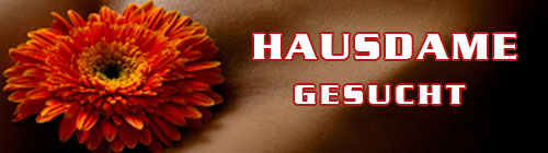 Hausdame gesucht
